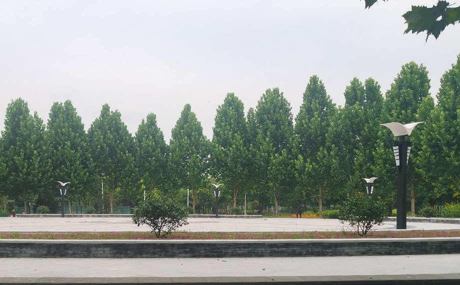 景觀燈，公園景觀燈.jpg